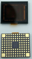 Camera Sensor